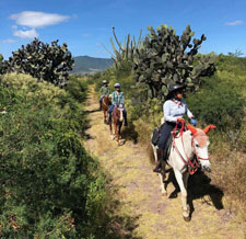 Mexico-Oaxaca-Tlacolula Valley Explorer Ride